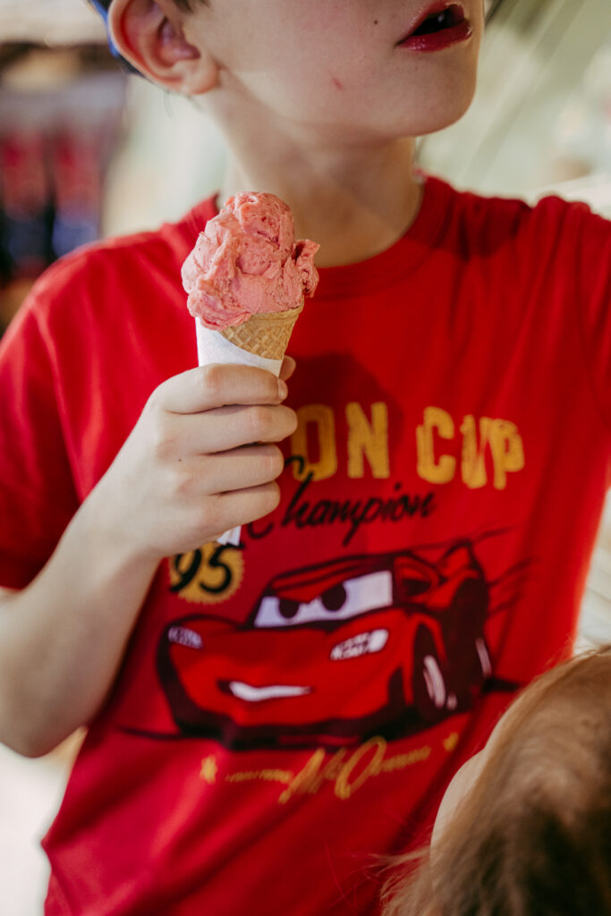 gelato artigianale con pochi zuccheri